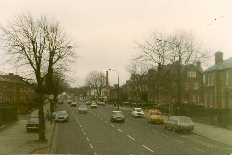 #12 Donnybrook, 1982