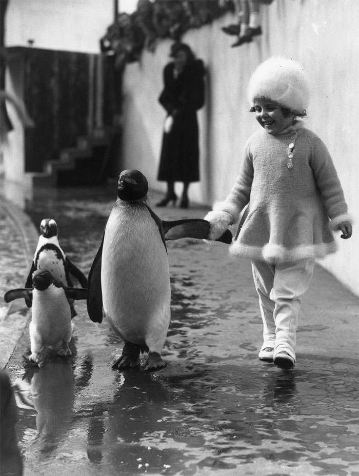 #14 A little girl holds a penguin’s flipper as they walk together around the London zoo, 1937