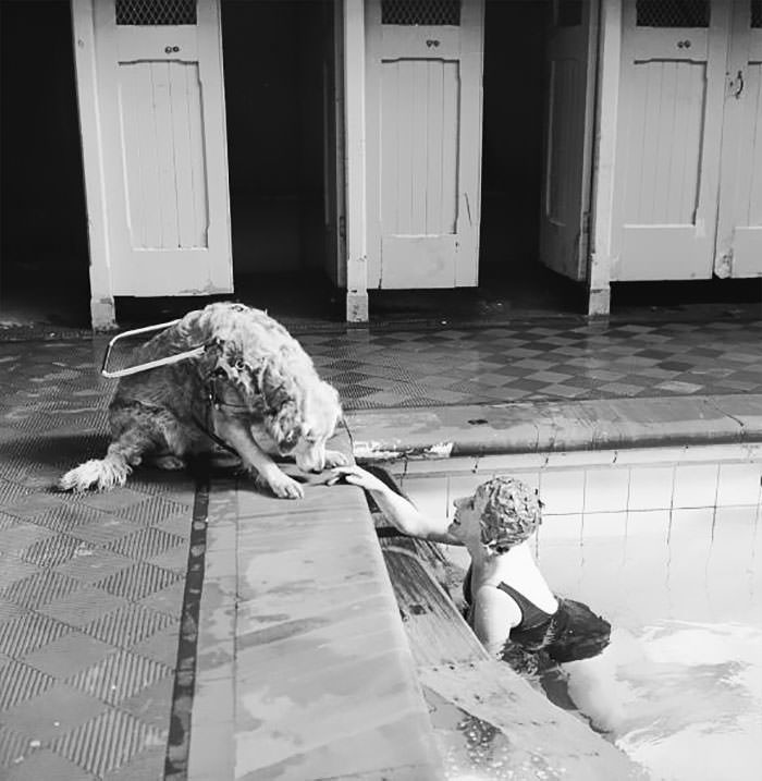 #23 A blind woman relaxes at the local swimming pool, watched over by her guide dog, 1966