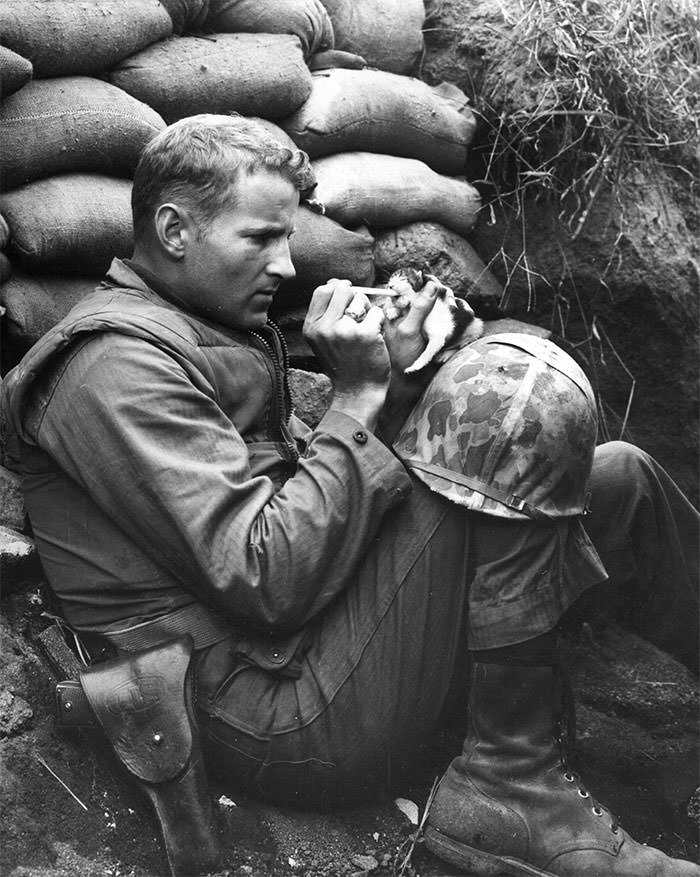 #4 Marine sergeant frank praytor feeding an orphaned kitten. he adopted the kitten after the mother cat died during the war.