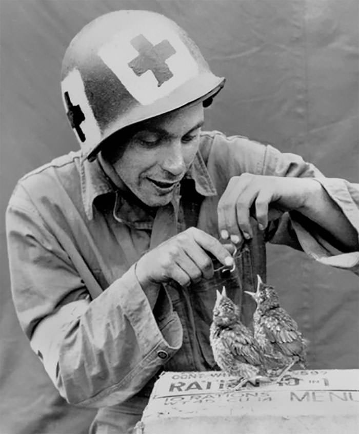 #32 Medic feeding baby birds