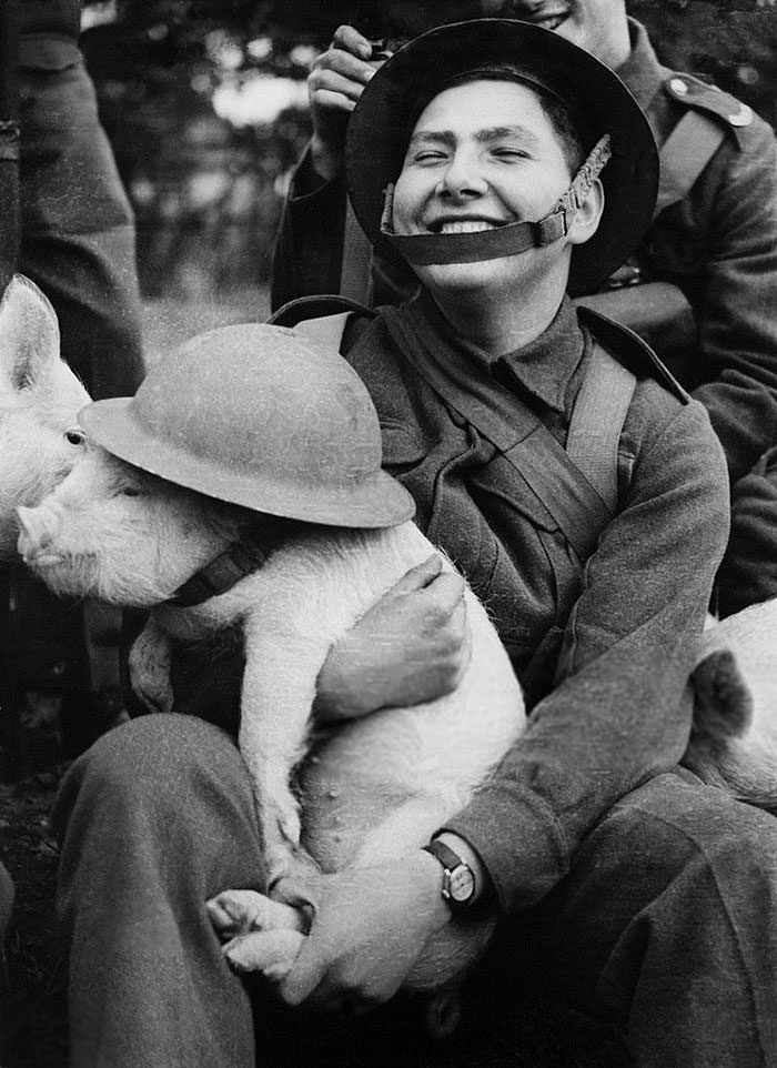 #48 Young soldier holding a little piggy with lid in london during wwii