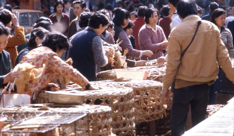 #33 Hong Kong outdoor chicken market