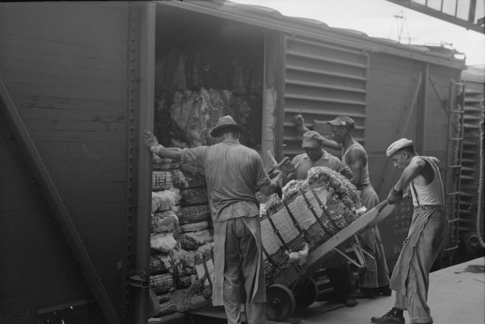 #18 Unloading bale of cotton from freight car. Cotton compress, Houston, Texas