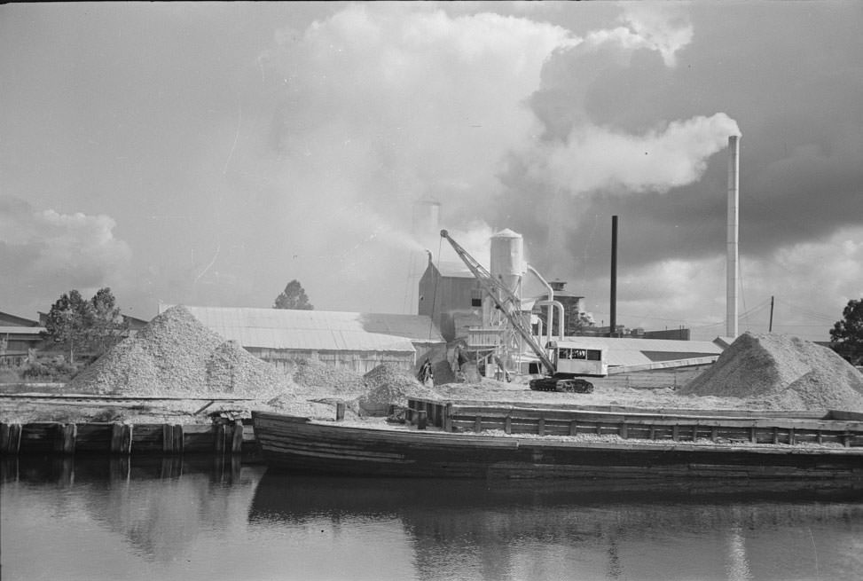 #54 Along the banks of the Port of Houston are several crushing plants for oyster shell, 1930s