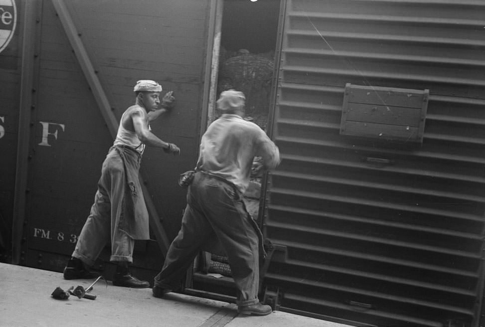 #32 Unloading bale of cotton from freight car at cotton compress, Houston, 1930s