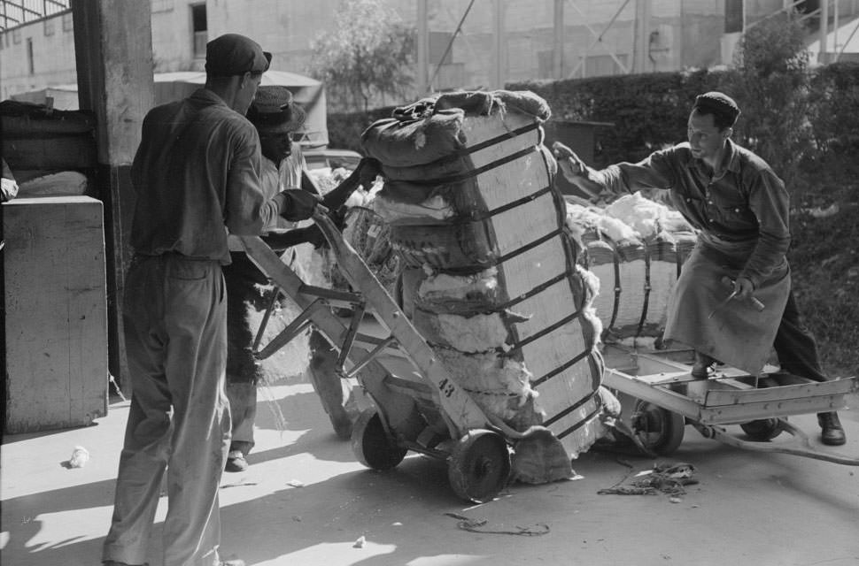 #33 Loading bale of cotton onto hand truck at platform. Cotton compress, Houston, Texas