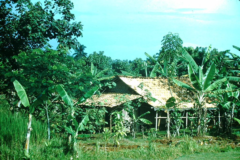 #1 Farm Near Jakarta, Indonesia, 1952