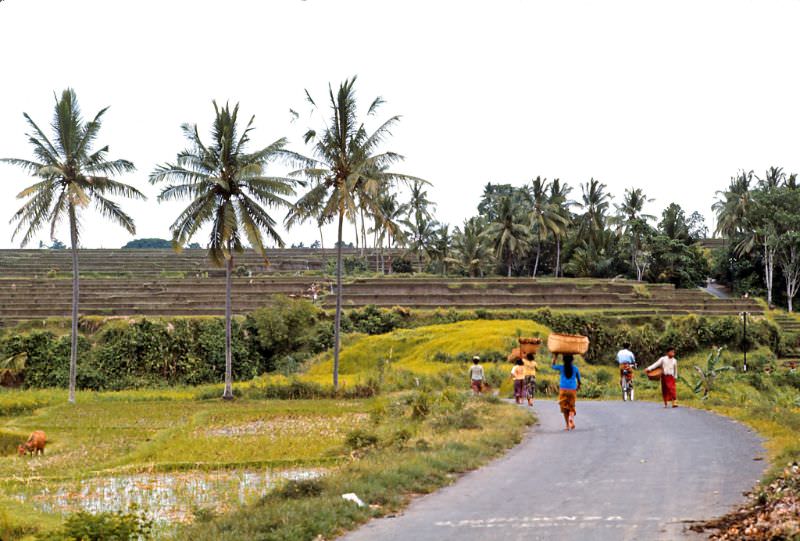 #18 Ubud, Bali, 1970s