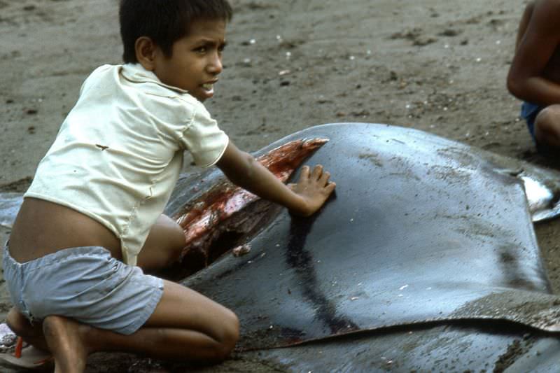 #41 Flores boy with manta ray, 1970s