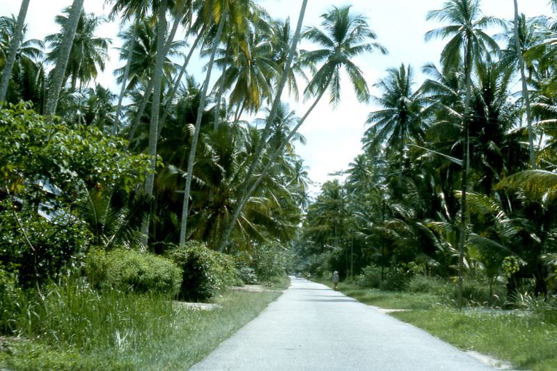 #58 Bali rural road, 1970s