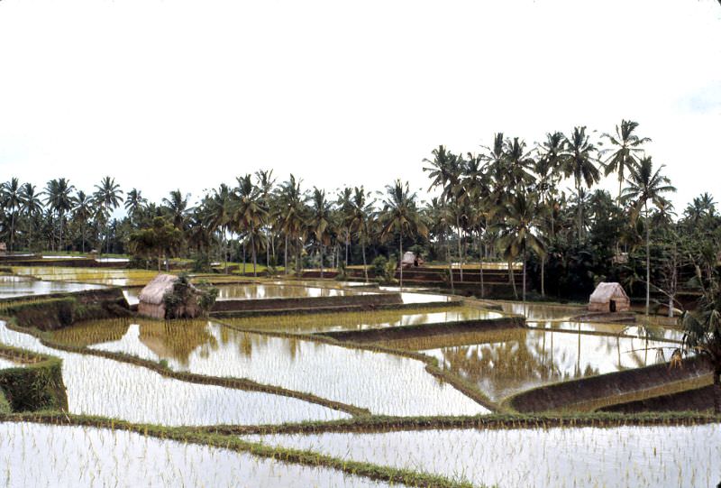 #9 Near Klungkung, Bali, 1970s