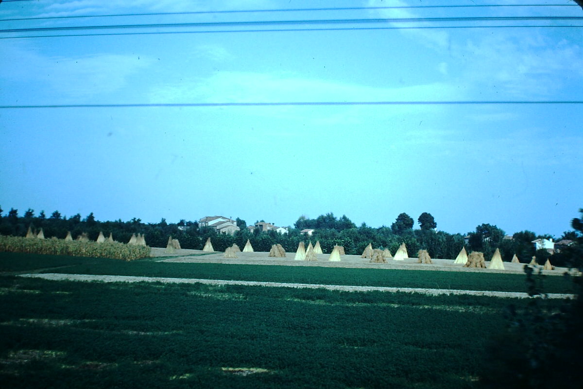 #42 Florence (From Train), Italy, 1954.