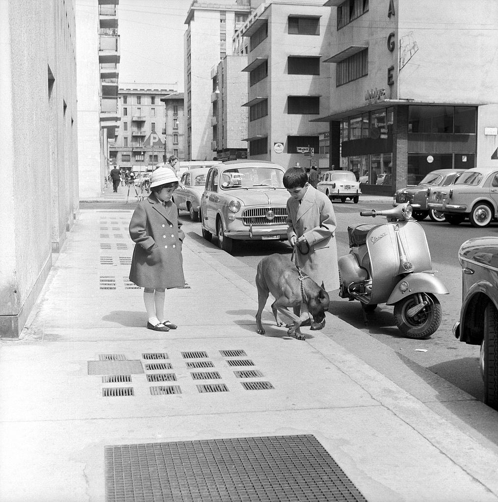 #85 The children of Italian boxer Duilio Loi walking on the pavement keeping a dog on a leash, 1960s.
