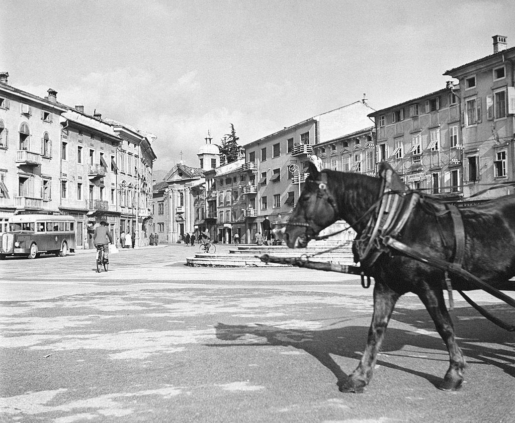 #17 A horse drawing a carriage in a square of Trieste, 1960s.