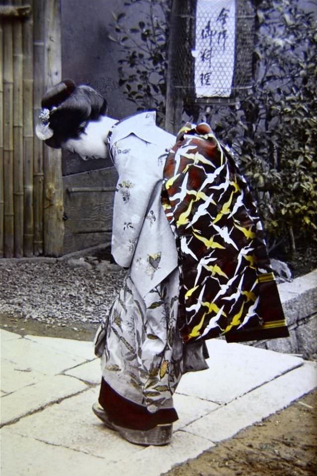 #9 Flying cranes adorn a maiko