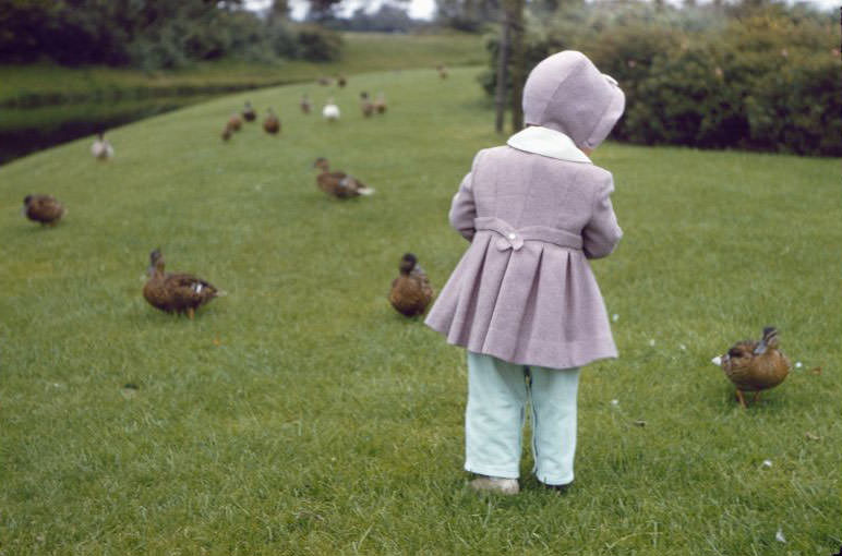 #17 Little girl and ducks, somewhere in the Netherlands, 1961