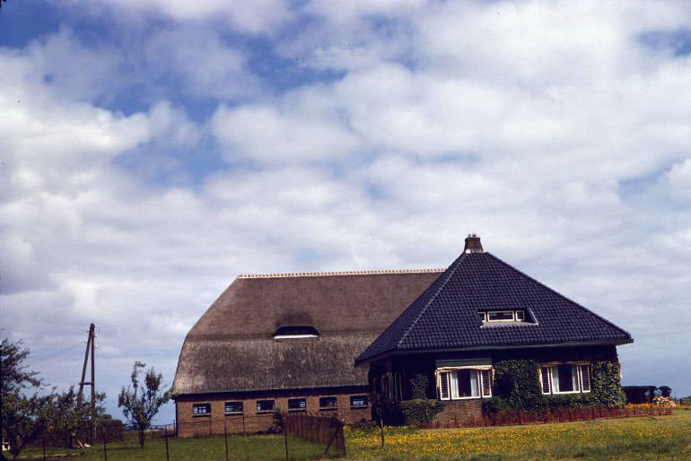 #37 Rural house and its thatched-roof barn, somewhere in the Netherlands, 1961