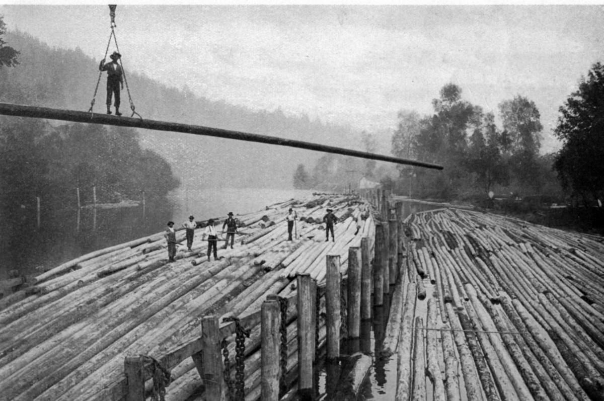 #51 Log Raft, 1905