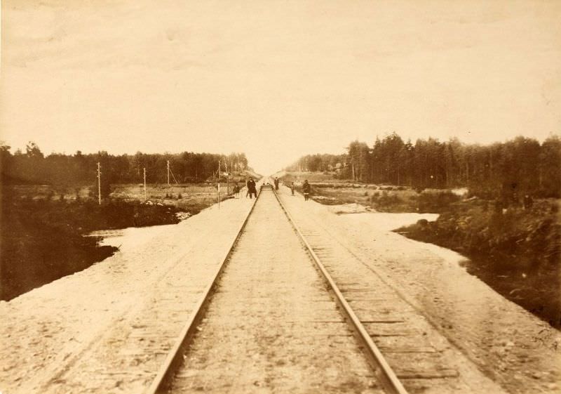 #18 Railroad tracks through the Vastseliina Wetlands, June 15, 1889