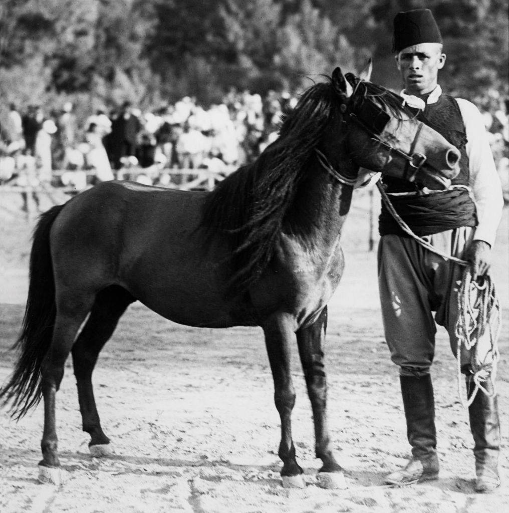 #17 A pony breeder in Rhodes, 1935.