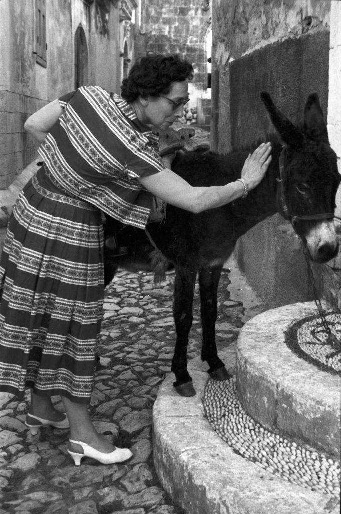 #54 A tourist from Germany strokes a donkey on the island of Rhodes, Greece, 1950s.