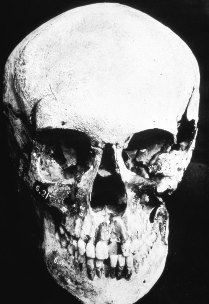 #45 Forensic investigation into the authenticity of the remains of Russia’s Royal family members.