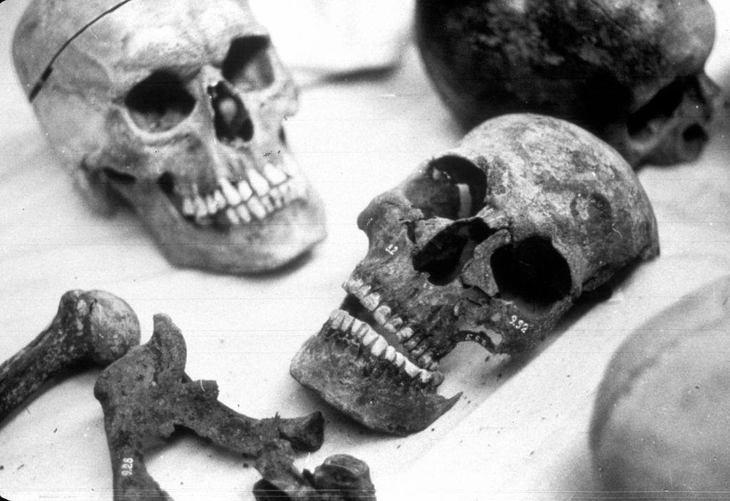 #46 The remainings of Romanov Family.