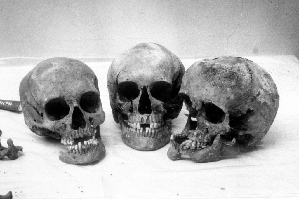 #54 The bones were dug up in a forest near Yekaterinburg in 1991.