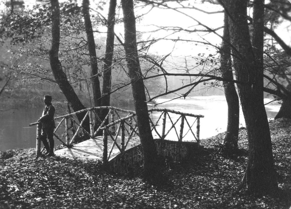 #20 A footbridge at Spala in Poland.