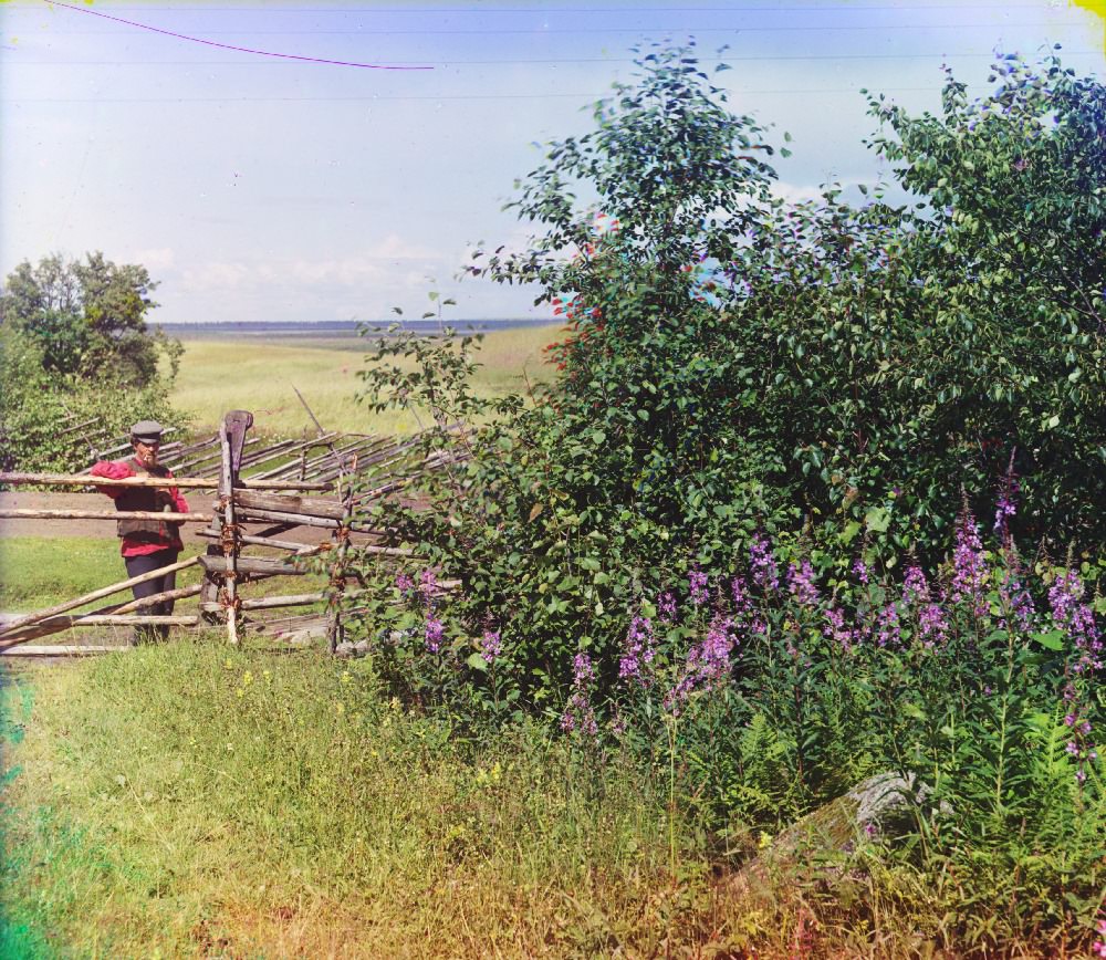 #14 Olonets Governorate, 1909