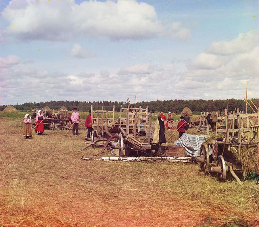 #84 Haying, near rest time, 1909