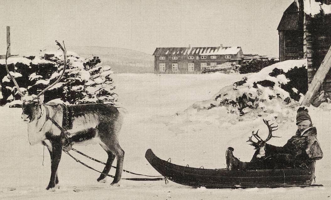 #2 Sami man on Reindeer sledge in Lappland Sweden