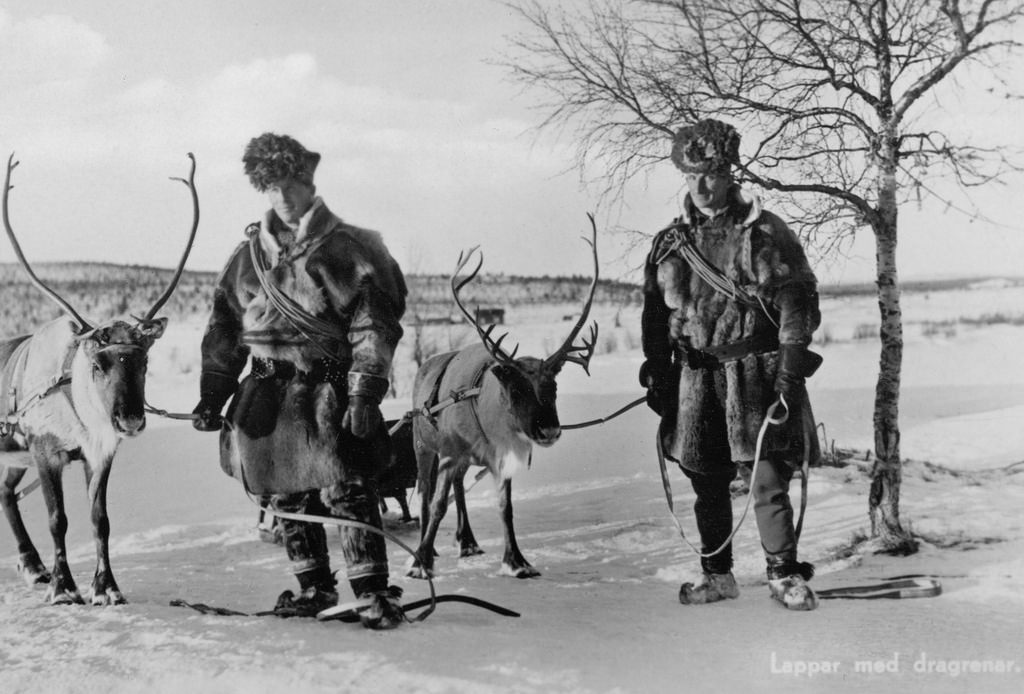 #32 Sami men with transport reindeers