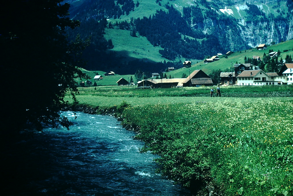 #50 Haying in Engelberg- Switzerland, Switzerland, 1953