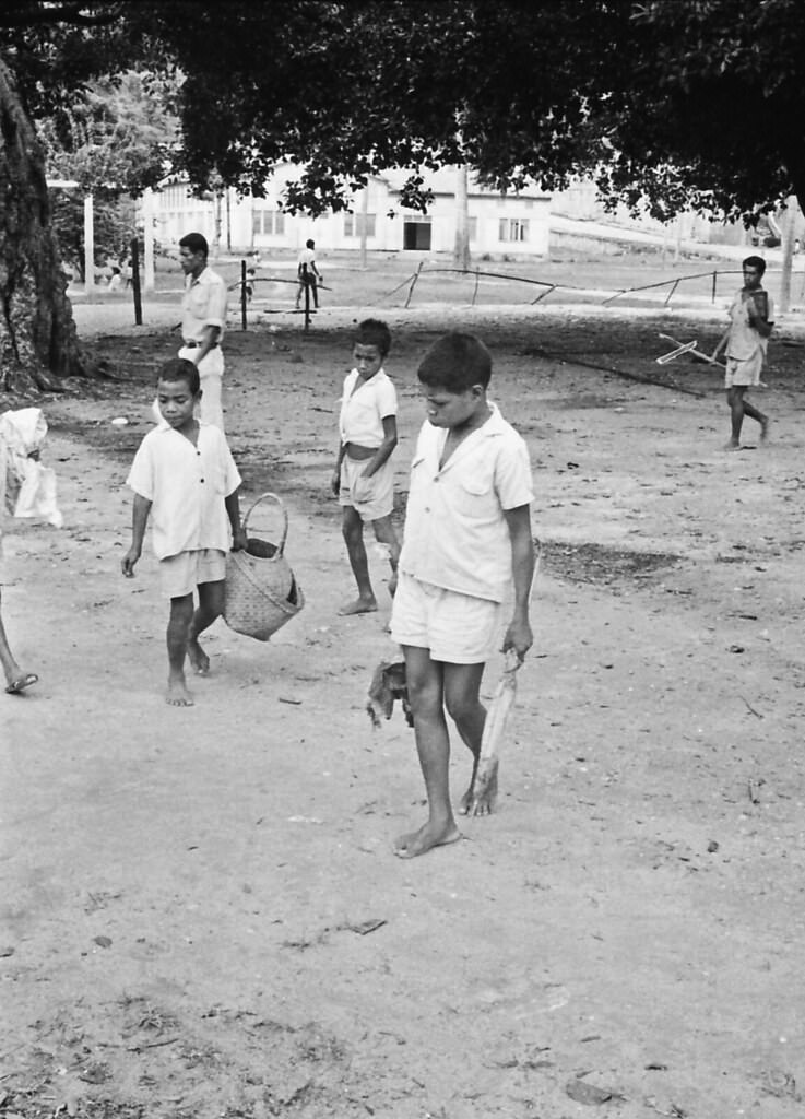#84 Bacau, Timor, 1970s