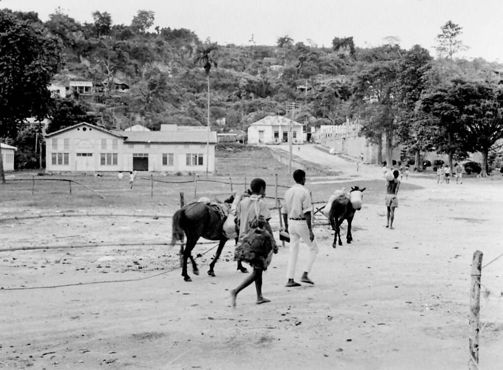 #86 Bacau, Timor, 1970s