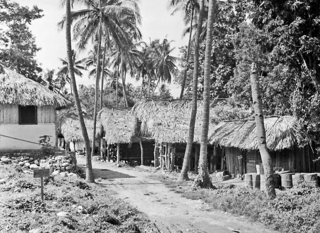 #2 Timor, 1970s