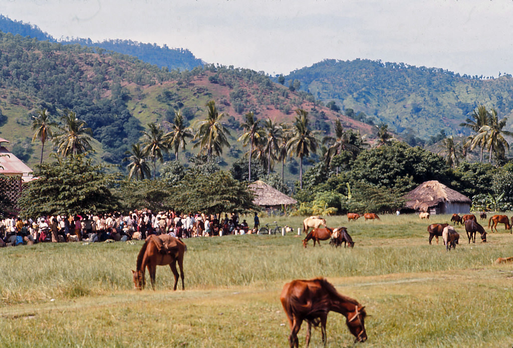 #16 Dili Sunday market, Timor, 1970s