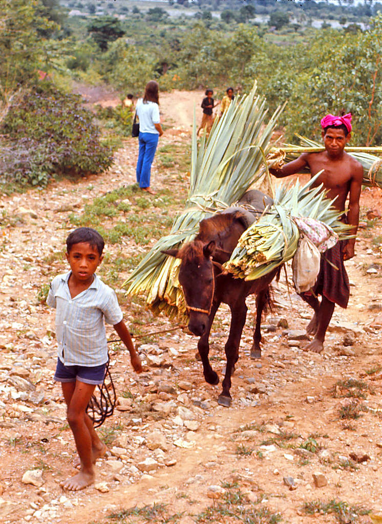 #25 Near iquica, Timor, 1970s