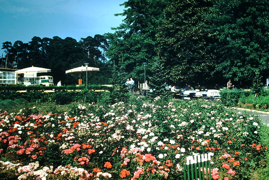 #27 At Kaiser Wilhelm Tower- Berlin, Germany, 1953