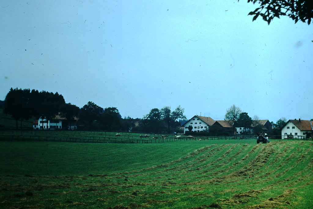 #40 Farm Houses- Village of Ilgen, Germany, 1953