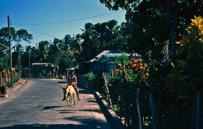 #17 Boy on a donkey, Nevis, 1960s