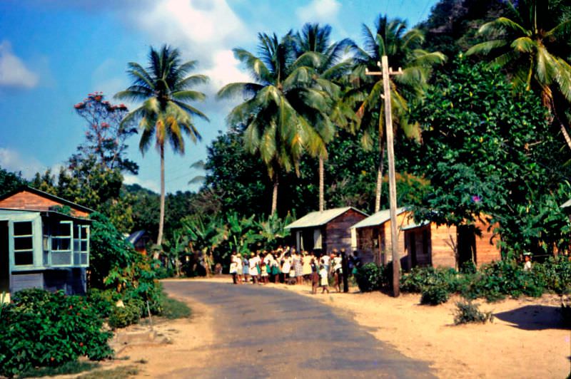 #7 Dominica, 1960s