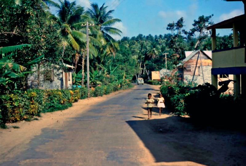 #8 Dominica, 1960s