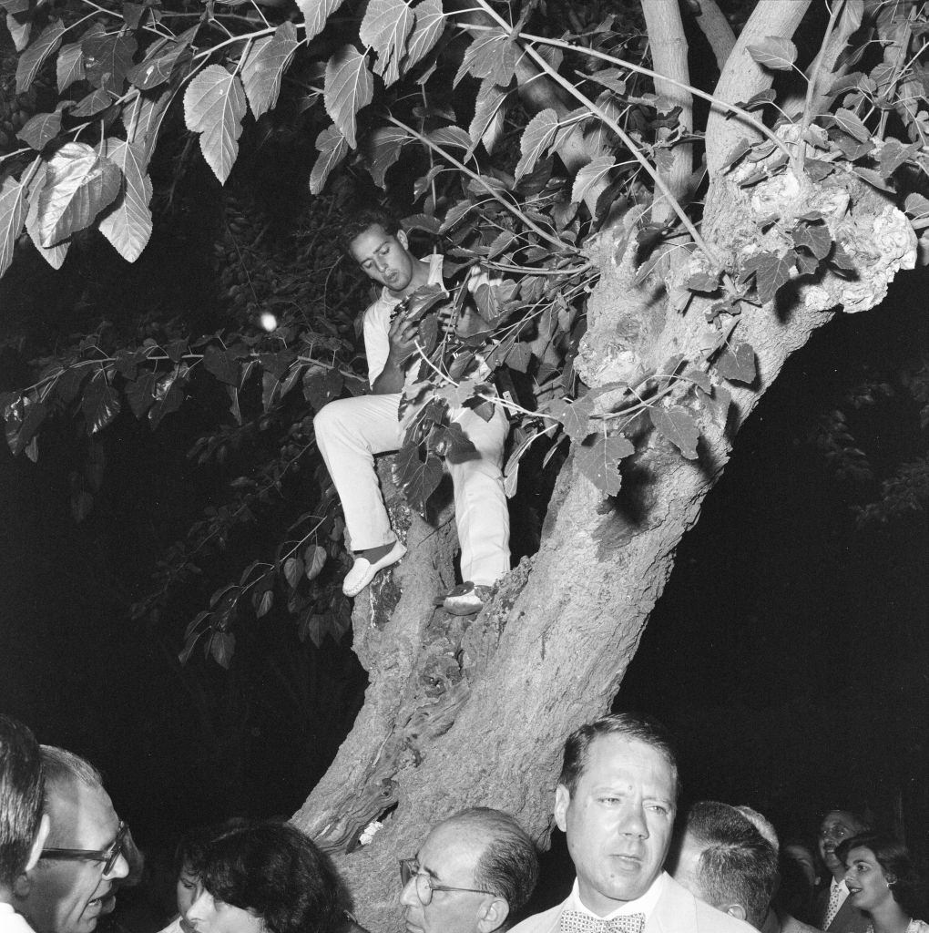 #88 Photographer hopes for birds eye view of proceedings during cocktail party hosted by Oscar winning Italian actress Anna Magnani at the Golf Club Lido di Venezia.