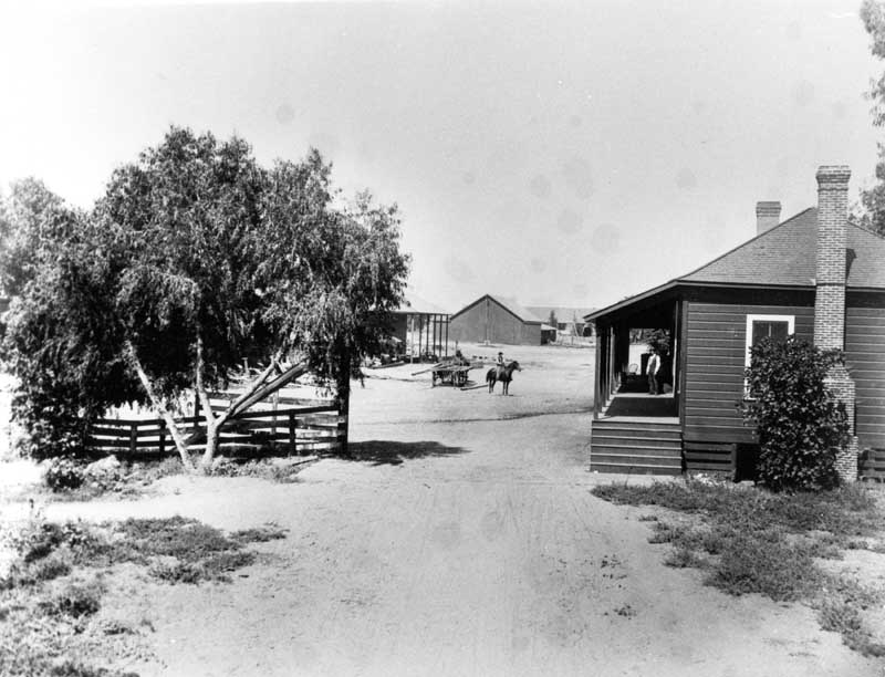 #42 Bellevue Ranch 1880s