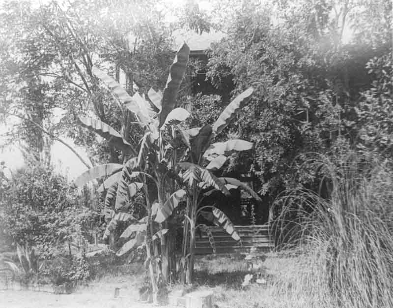 #46 Stockdale, 1880s