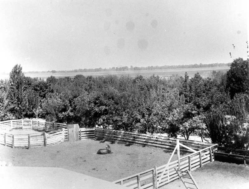 #47 Bellevue Ranch corral, 1880s