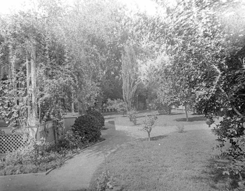 #57 Kern River above the canal, north channel taken from the county bridge looking westward downstream.